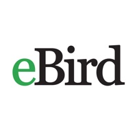 eBird app funktioniert nicht? Probleme und Störung