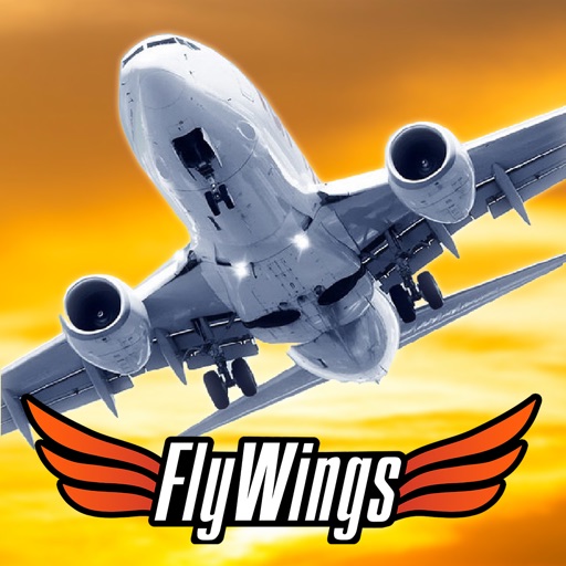 Flight Simulator FlyWings 2013