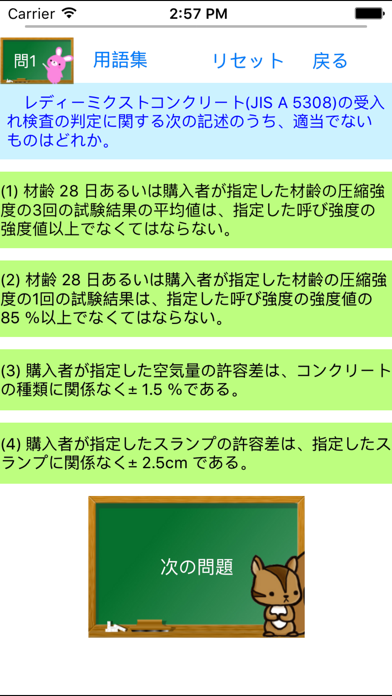 2級土木施工管理試験問題集　りすさんシリーズ screenshot1