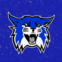 Wallace Wildcats PC 용