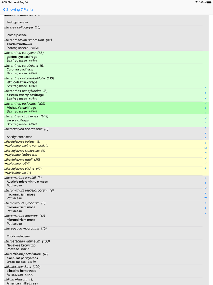 Smoky Mountains Wildflowers