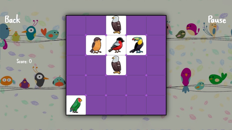 Learning Birds Puzzle