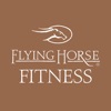 Flying Horse Fitness