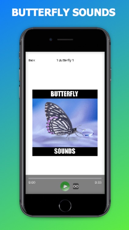 Butterfly Sound Effects!