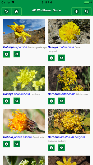 How to cancel & delete Anza-Borrego Wildflower Guide from iphone & ipad 4