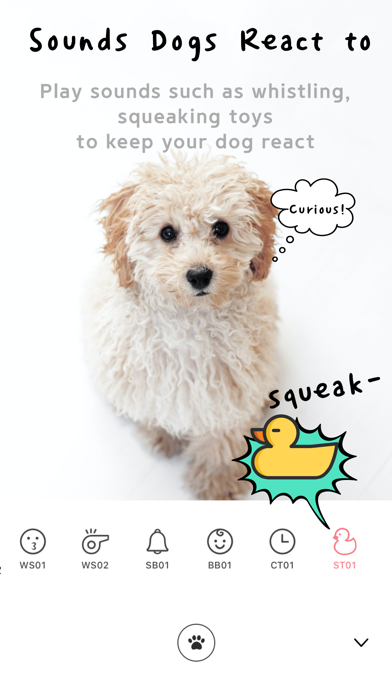MeongCa - for dogs screenshot 3