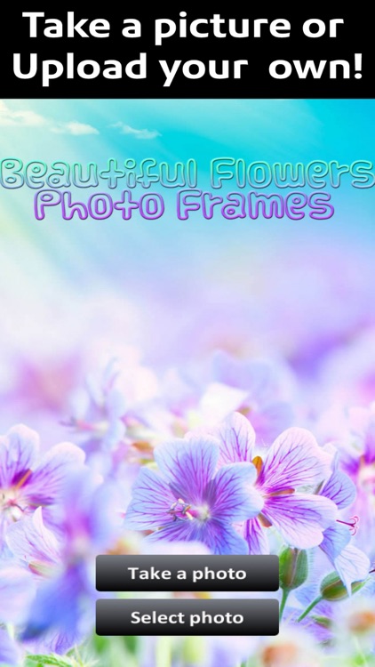 Beautiful Flowers Photo Frames