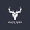 The idea of white Deer: