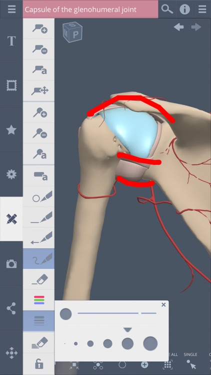 Shoulder: 3D Real-time screenshot-4