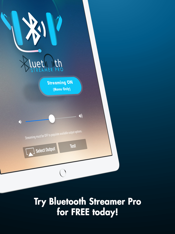 Bluetooth Streamer Pro screenshot 3