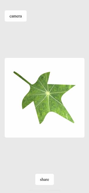 Empty Leaf(圖5)-速報App