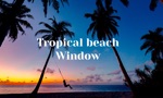 Tropical Beach Window