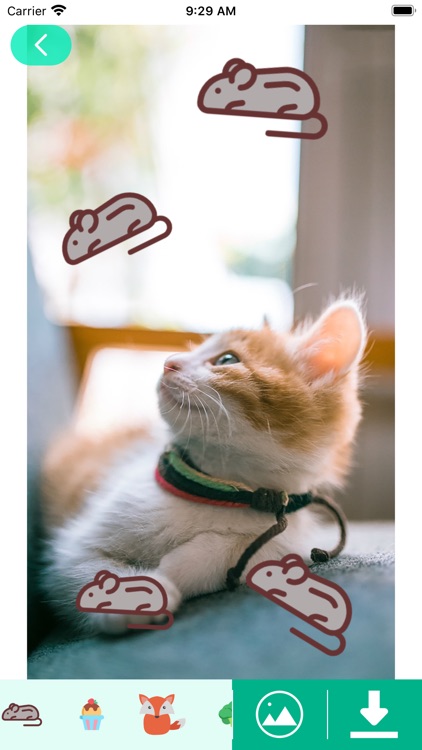 CC-Creative Collocation screenshot-3