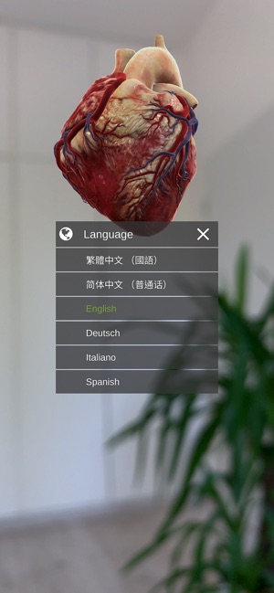 INSIGHT HEART(圖8)-速報App