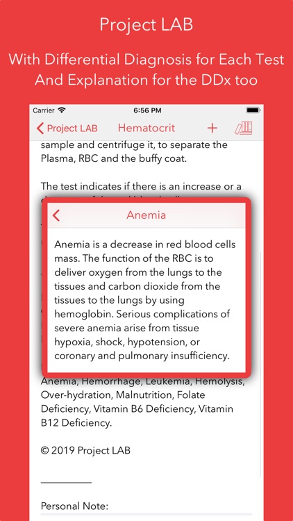 Project LAB screenshot-3