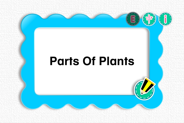 PicDic - Plants Eng-Chinese