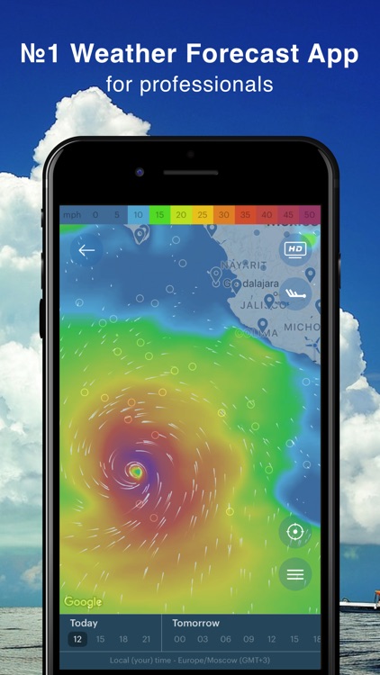 Windy: forecast for surfing