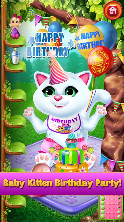 New Baby Kitten Cat Care