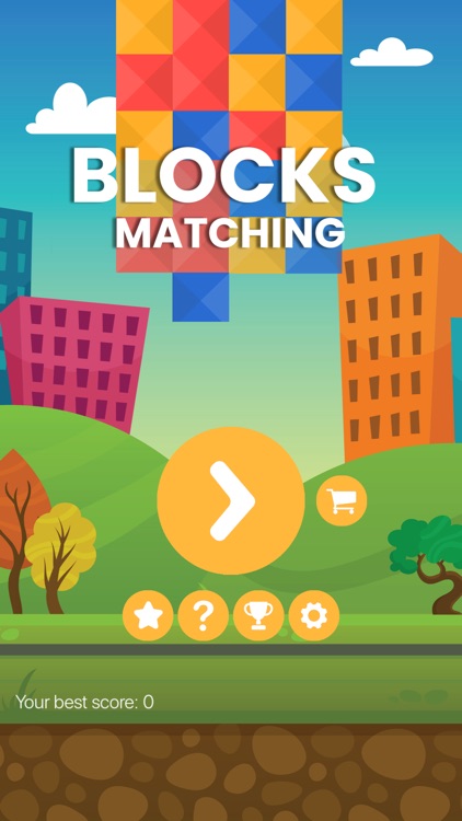 Blocks Matching