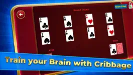 Game screenshot Cribbage Solitaire Challenge apk