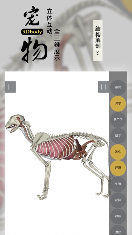 3Dbody宠物