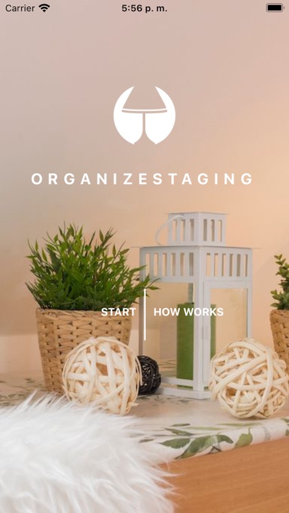 Organizestaging