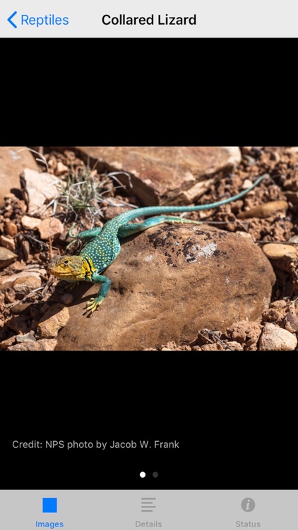 Grand Canyon NP Field Guide screenshot-3