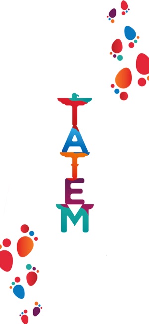 Tatem Socks(圖1)-速報App