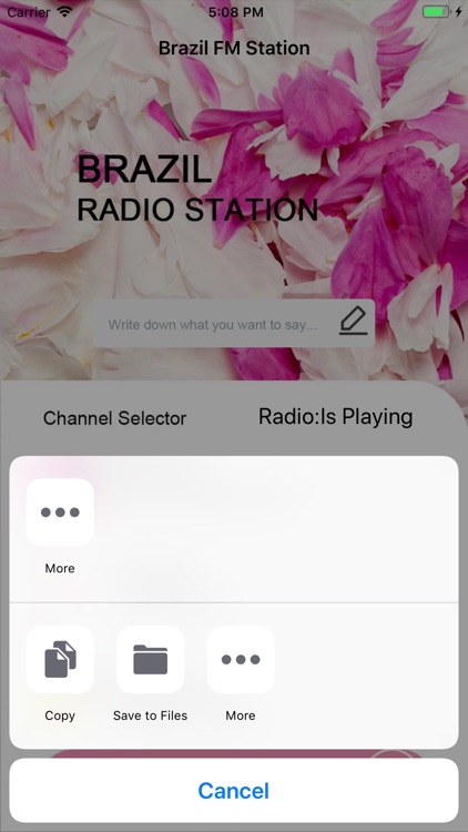Brazil FM Station screenshot-4
