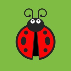 Activities of Ladybug!