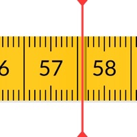 PEP : Body diary - weight loss PC 용