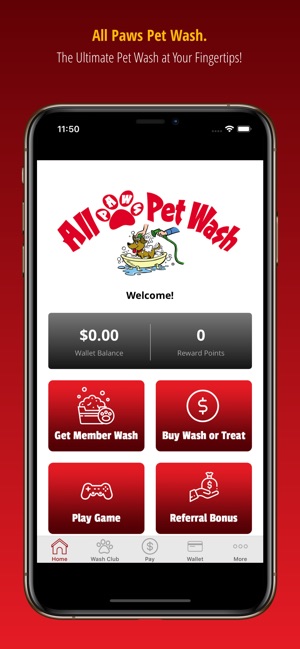 All Paws Pet Wash