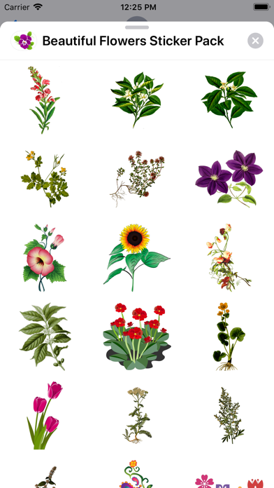 Beautiful Flowers Sticker Pack screenshot 4