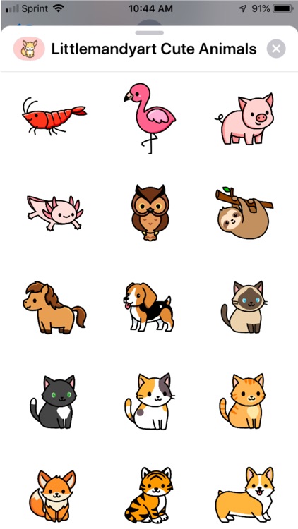 Littlemandyart Cute Animals