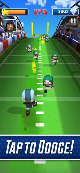 Game screenshot Marshawn Lynch Blocky Football apk