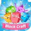 Block Craft 3D