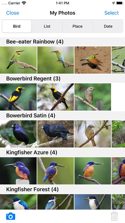 Pizzey&Knight Birds Australia screenshot-9