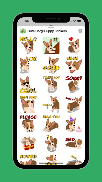 Cute Corgi Puppy Stickers
