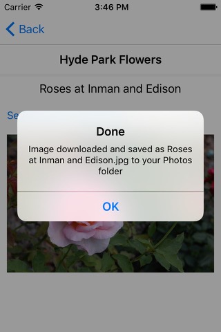 Hyde Park Flowersのおすすめ画像4