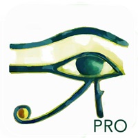 Horus Condition Report Pro pour PC