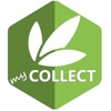 HBL Collect