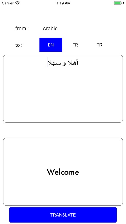 Minimalist Arabic Translator