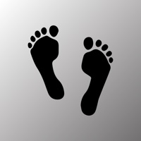 Steps 歩数 pour PC