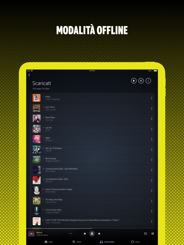 SCARICA PLAYLIST SPOTIFY SENZA WIFI