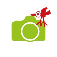 Elbkinder Foto sur PC