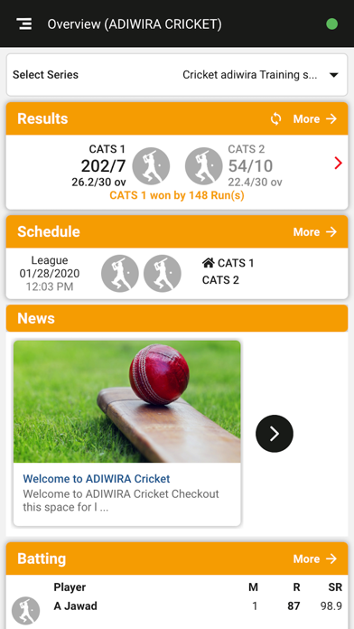 Cricket Adiwira screenshot 2