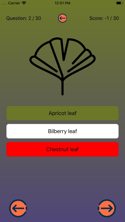 Leaves shape quiz