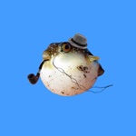 animals wearing monocles