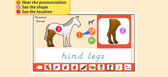 Parts Of Animals - Vertebrates(圖3)-速報App