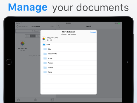 File Manager  Wireless Storage - náhled